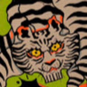 Meet your Posher, Ally